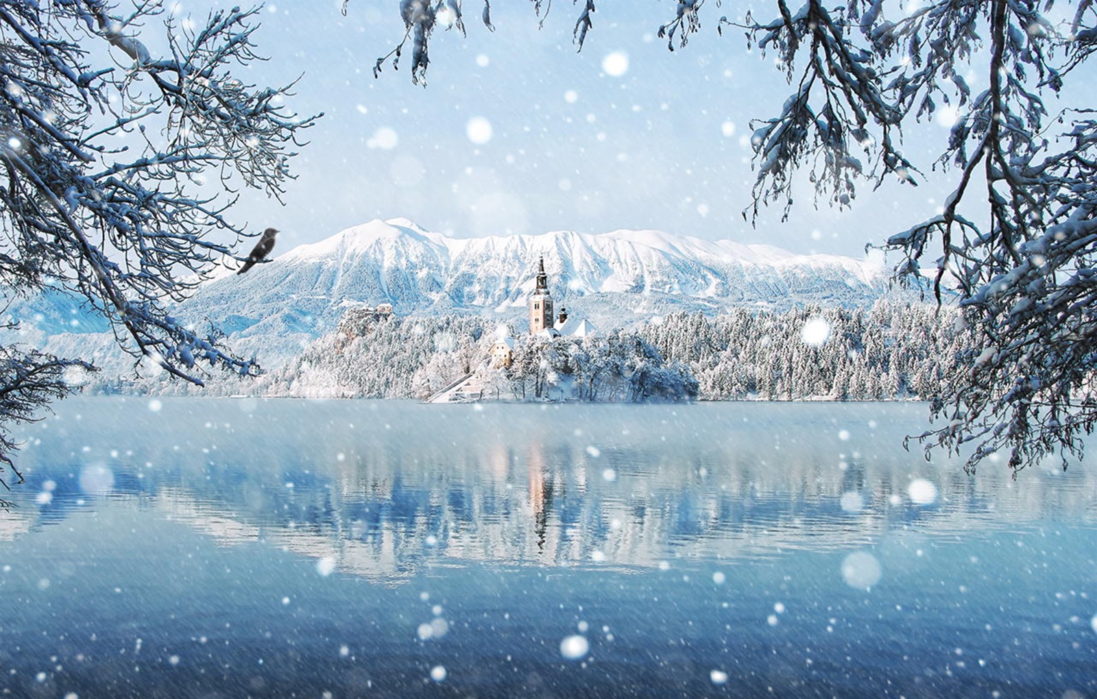 Снежная красота. Шикарная зима. Волшебный зимний пейзаж. Чудесной зимы. Зимняя сказка.
