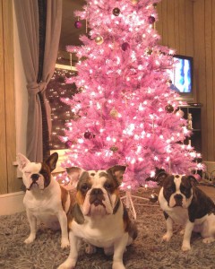 Letošnji božični trend so barvna božična drevesa.