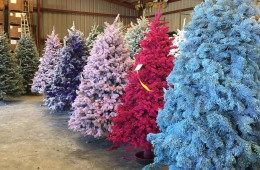 Letošnji božični trend so barvna božična drevesa.