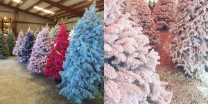 Letošnji božični trend so barvna božična drevesa