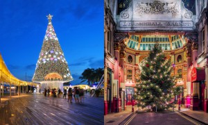 Božična drevesa 2016