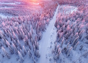 Laponska v zimskem času