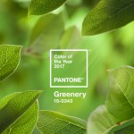 Pantone – Greenery, barva leta 2017