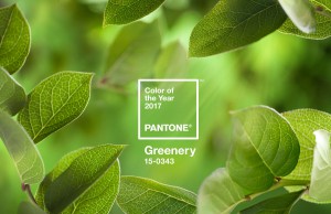Pantone – Greenery, barva leta 2017