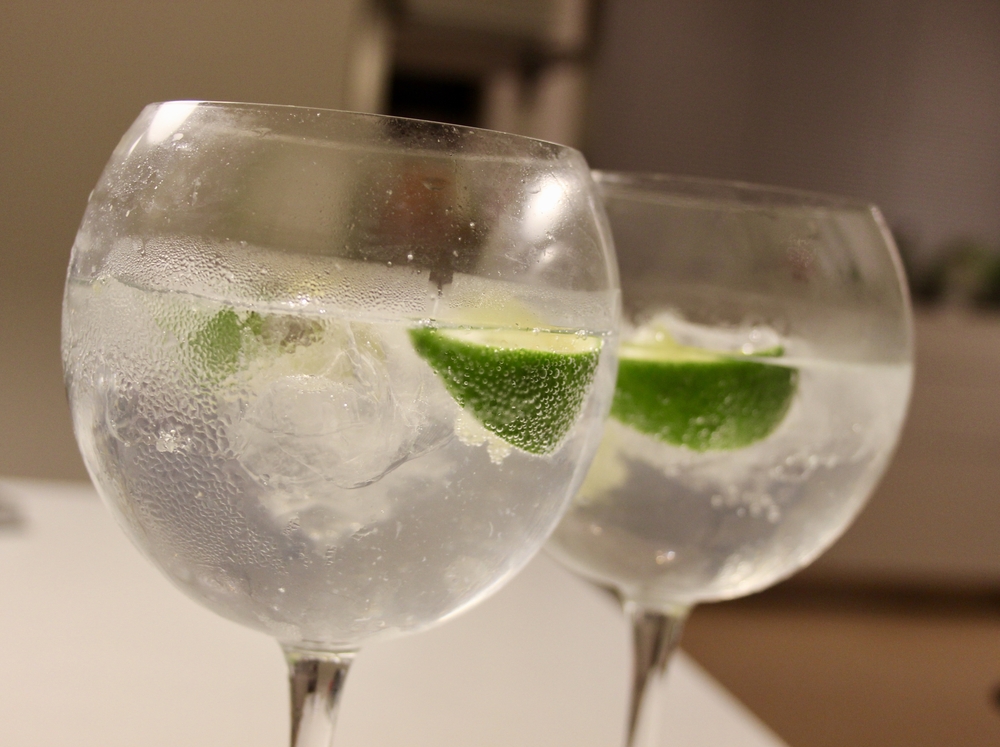 Recept: kako pripravimo popolni gin & tonic?