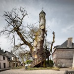 1000 let star hrast v Franciji, v katerem se nahaja kapela.