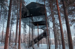 Treehotel: hotel na drevesu na Švedskem