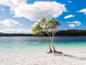 Jezero McKenzie, Avstralija