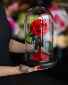 Forever Rose: rože, ki trajajo večno