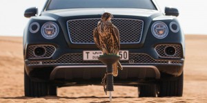 Bentley Bentayga Falconry – najbolj luksuzna ptičja kletka na svetu