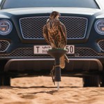 Bentley Bentayga Falconry
