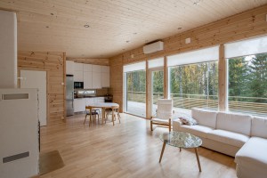 Sanjske finske hiške za drobiž