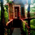 THE TINY FERN FOREST HOUSE, Vermont (ZDA)