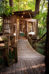Hišica na drevesu v Atlanti je najbolj priljubljen Airbnb na svetu.