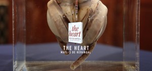 Maylis de Kerangal, The Heart