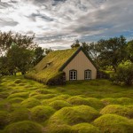Majhna hiša, pokrita z islandskim mahom