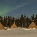 Sapmi Nature Camp: kampiranje med severnimi jeleni