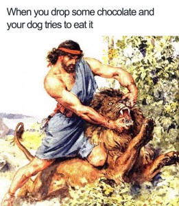Ko ti pade košček čokolade in jo pes poskuša pojesti.